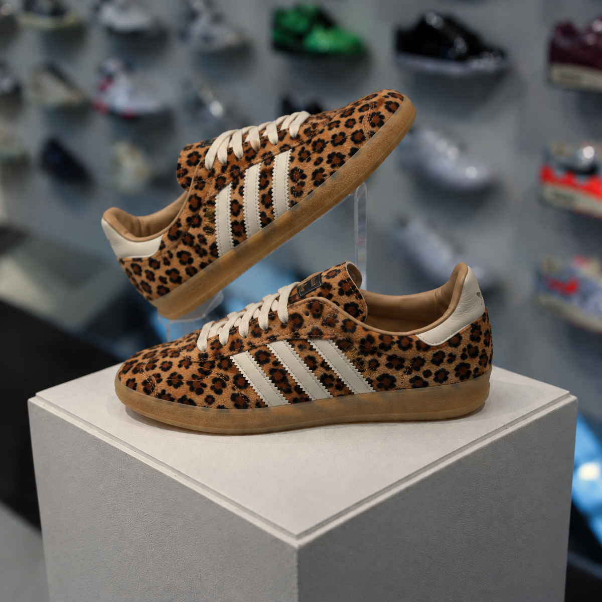 adidas Samba OG Leopard Magic Beige in de winkel met echte kleur en leopard details