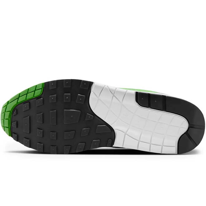 pata 4.jpg