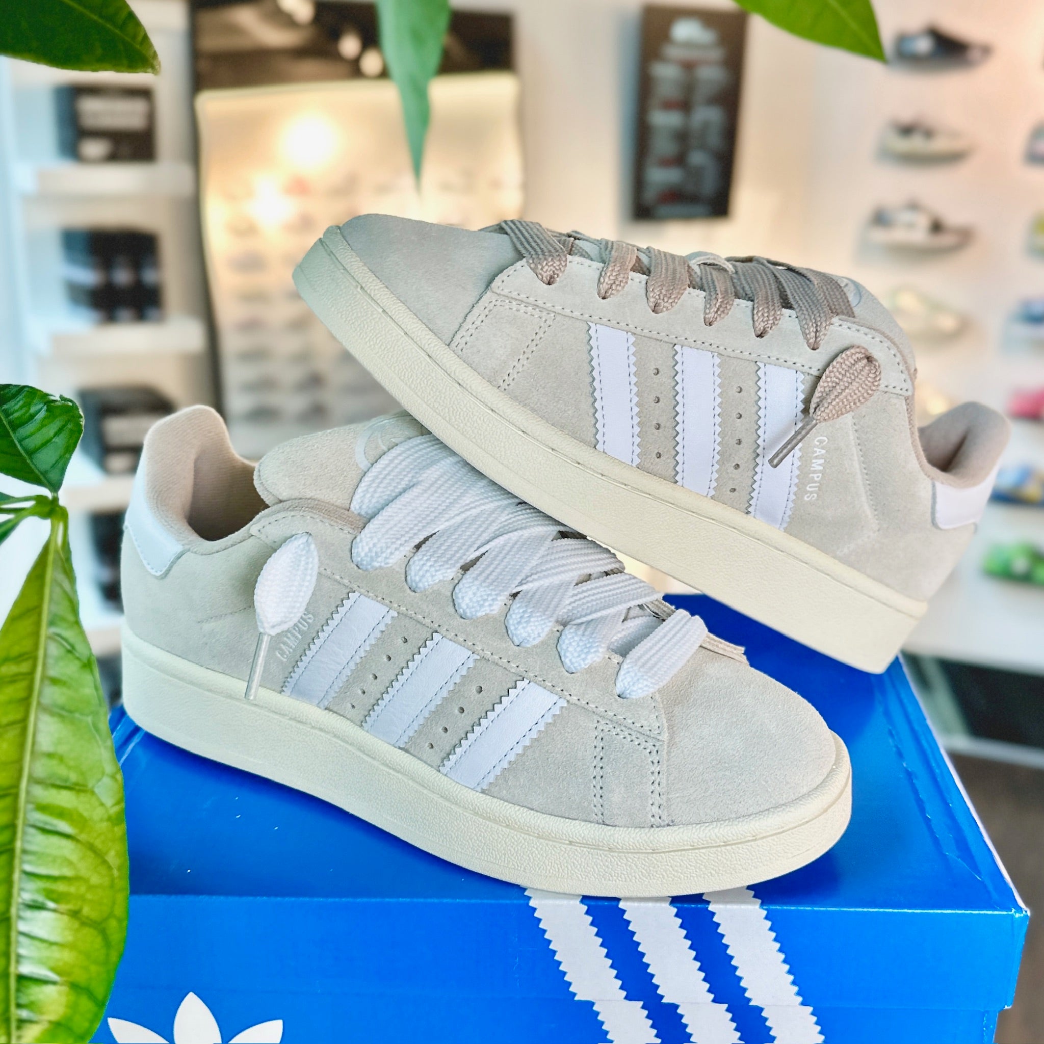 Adidas Campus 00s Wonder White Exclusive instore view available at HypedPair sneaker store  