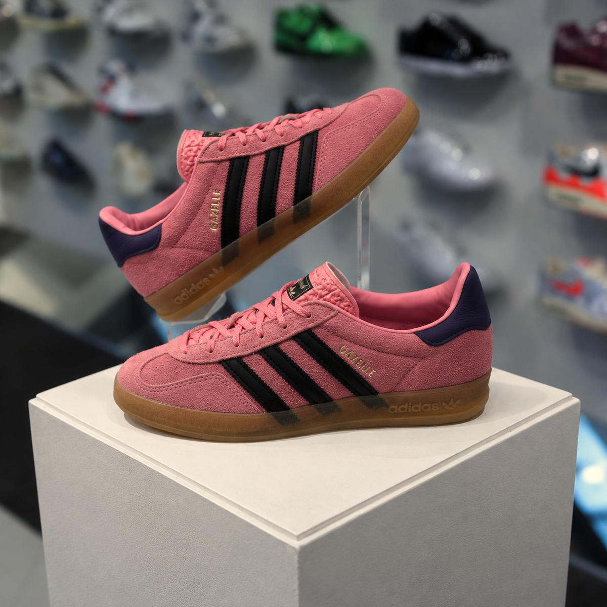 adidas Gazelle Indoor Bliss Pink Purple in de winkel met echte kleur en premium afwerking