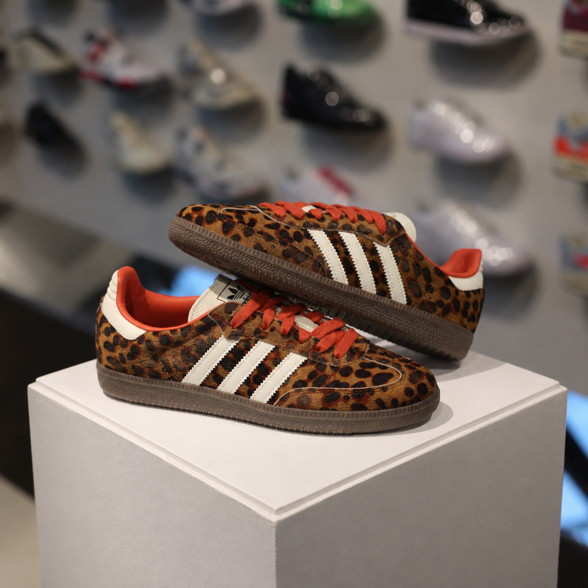 adidas Samba OG Preloved Red Leopard W in de winkel met echte kleur en leopard details