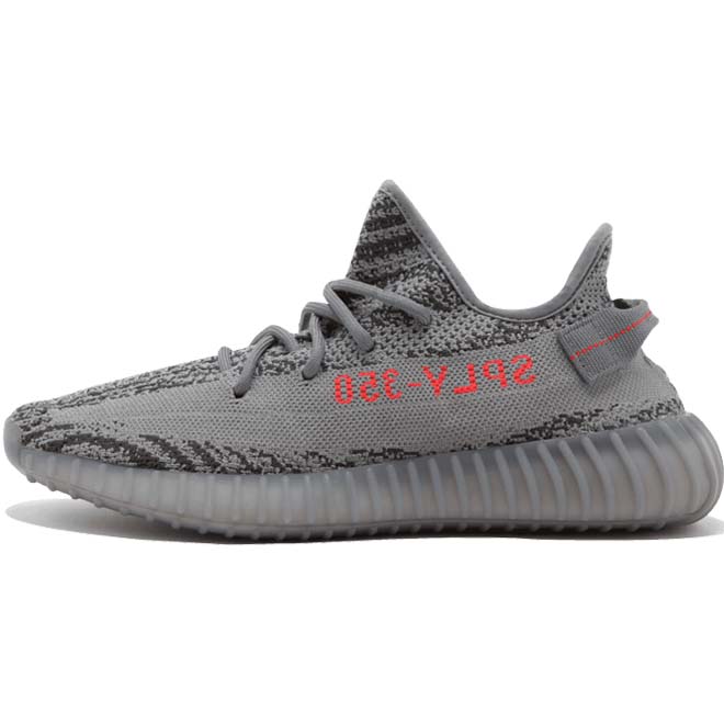 beluga 16 1.jpg